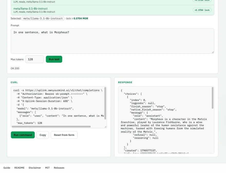 Uplink Probe tab returning OK 200 for meta/llama-3.1-8b-instruct, with the generated curl command and the JSON response